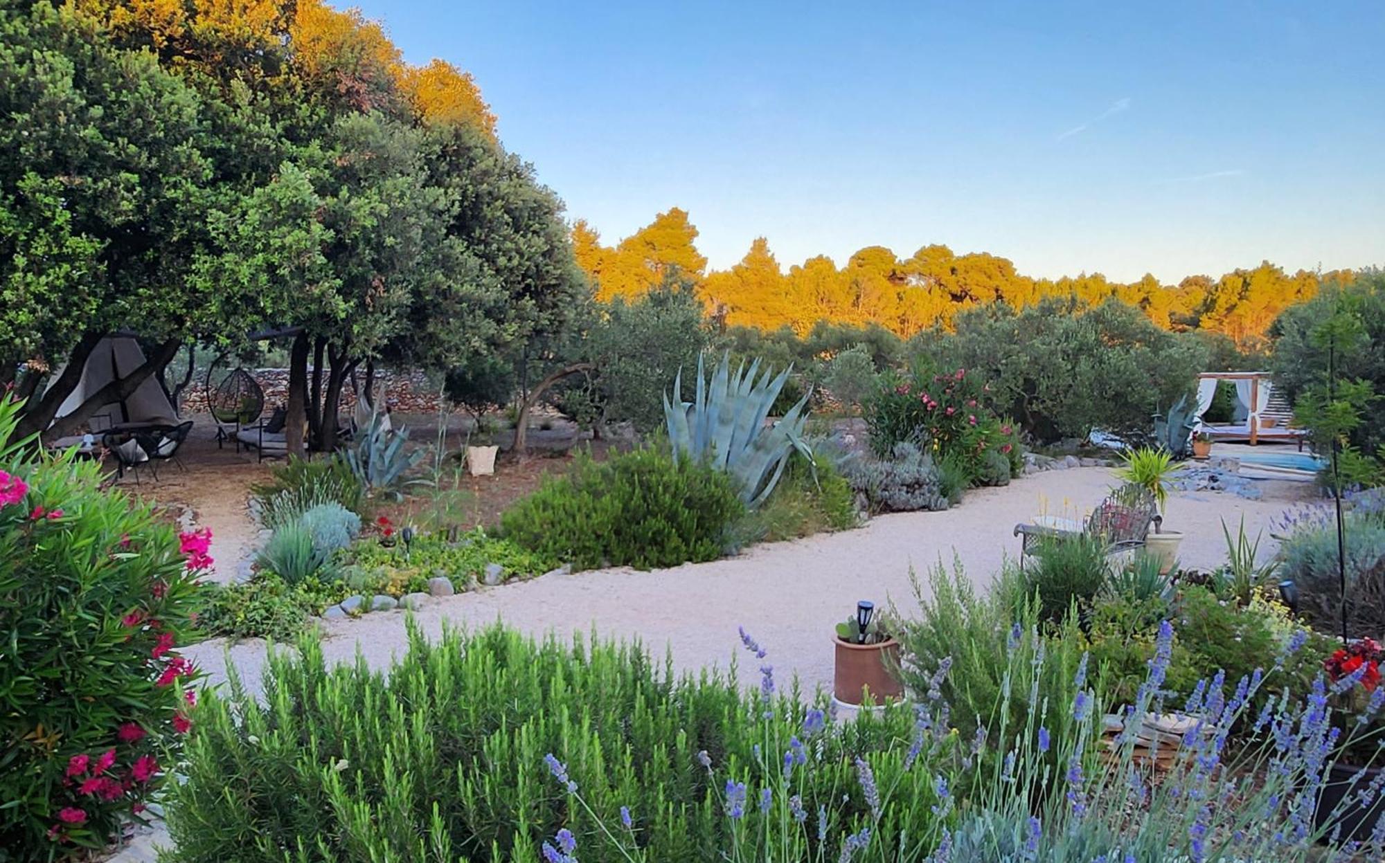 Villa Oxa Dreamland Stari Grad  Luaran gambar