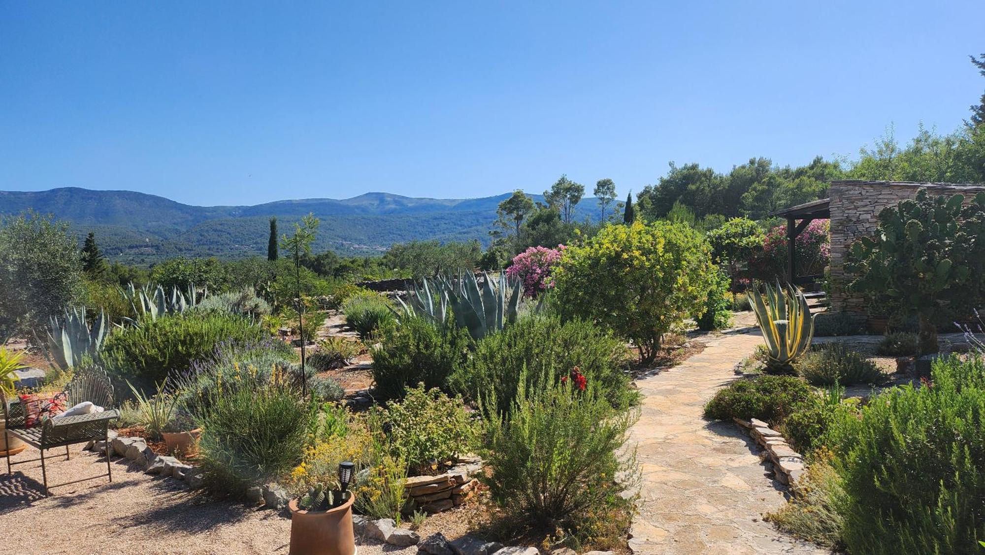 Villa Oxa Dreamland Stari Grad  Luaran gambar
