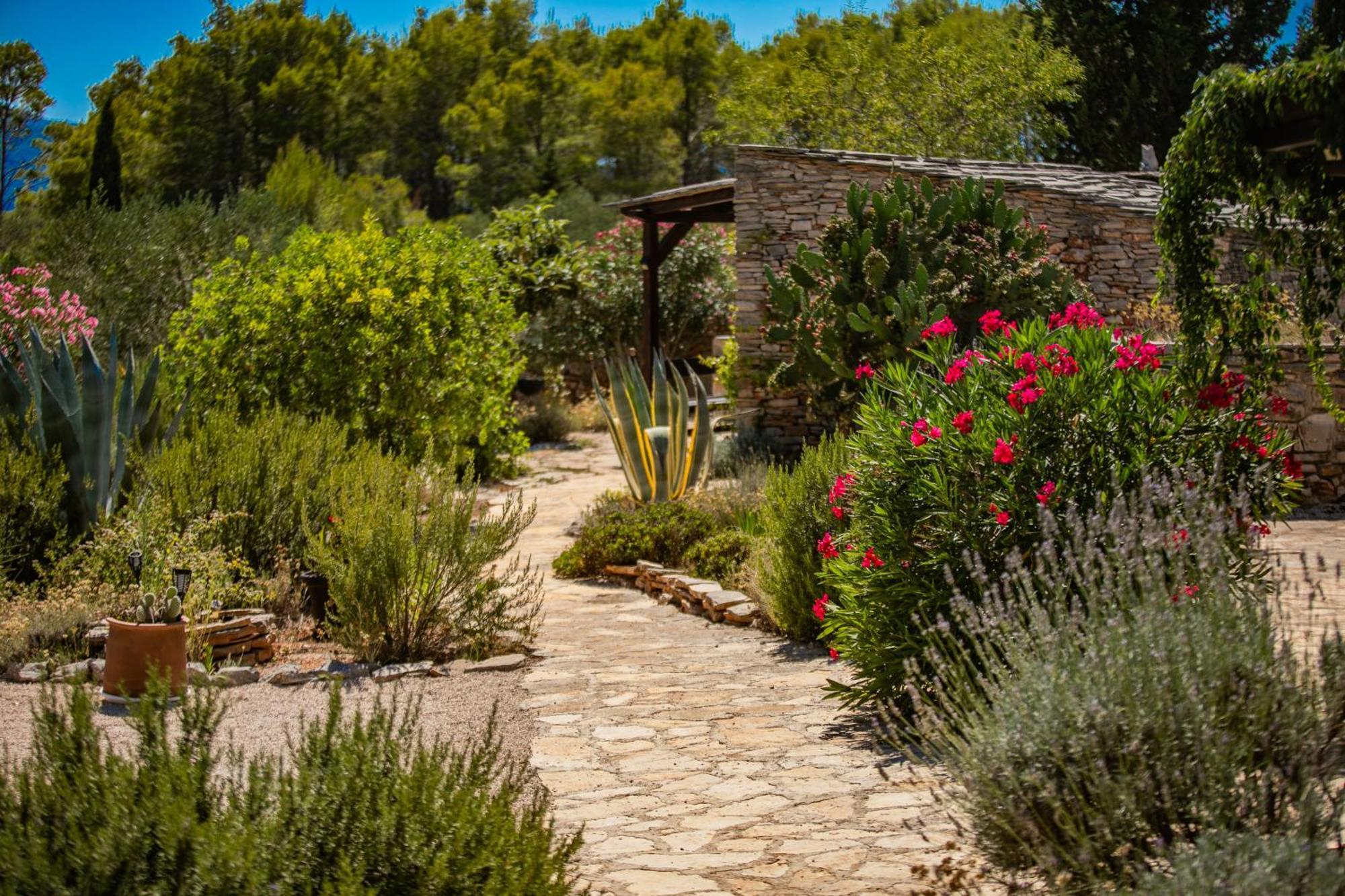 Villa Oxa Dreamland Stari Grad  Luaran gambar